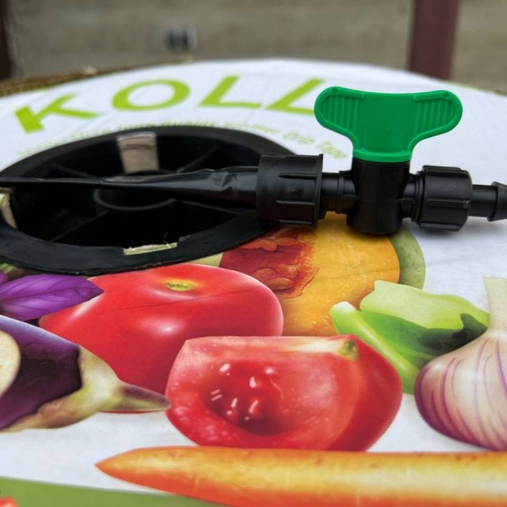 photo_2024-05-01_08-02-19