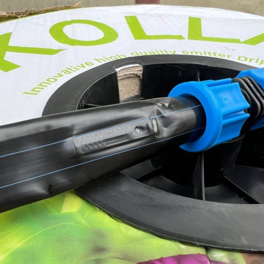 photo_2024-05-01_08-02-22